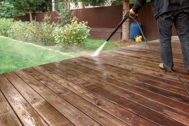 Animal Enclosure Cleaning in Chinchilla, PA